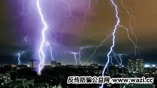 5亿“云养牛”资金盘骗局曝光！投资者血本无归！！