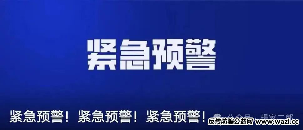 曝光资金盘骗局【兔子外汇,云誉证券,极智无界,星马集团】