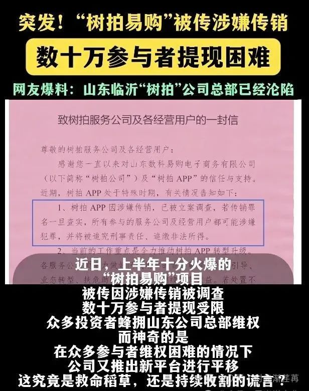 “爆雷！树拍易购鑫慷嘉连环炸，数字外衣下的庞氏骗局让百万家庭‘钱梦破碎