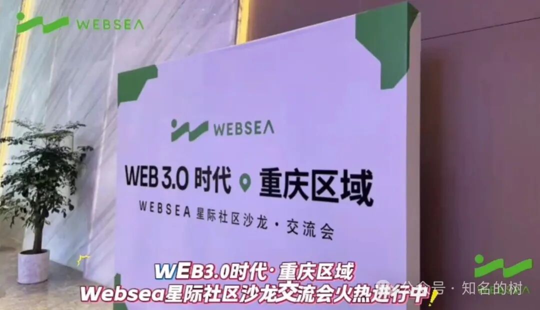 别再被蒙在鼓里！Websea资金盘真相全揭秘！