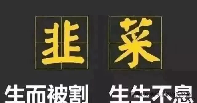 10月底最新整理8个崩盘跑路【启明创投，全球供应链，超脑智算，方舟之境，永