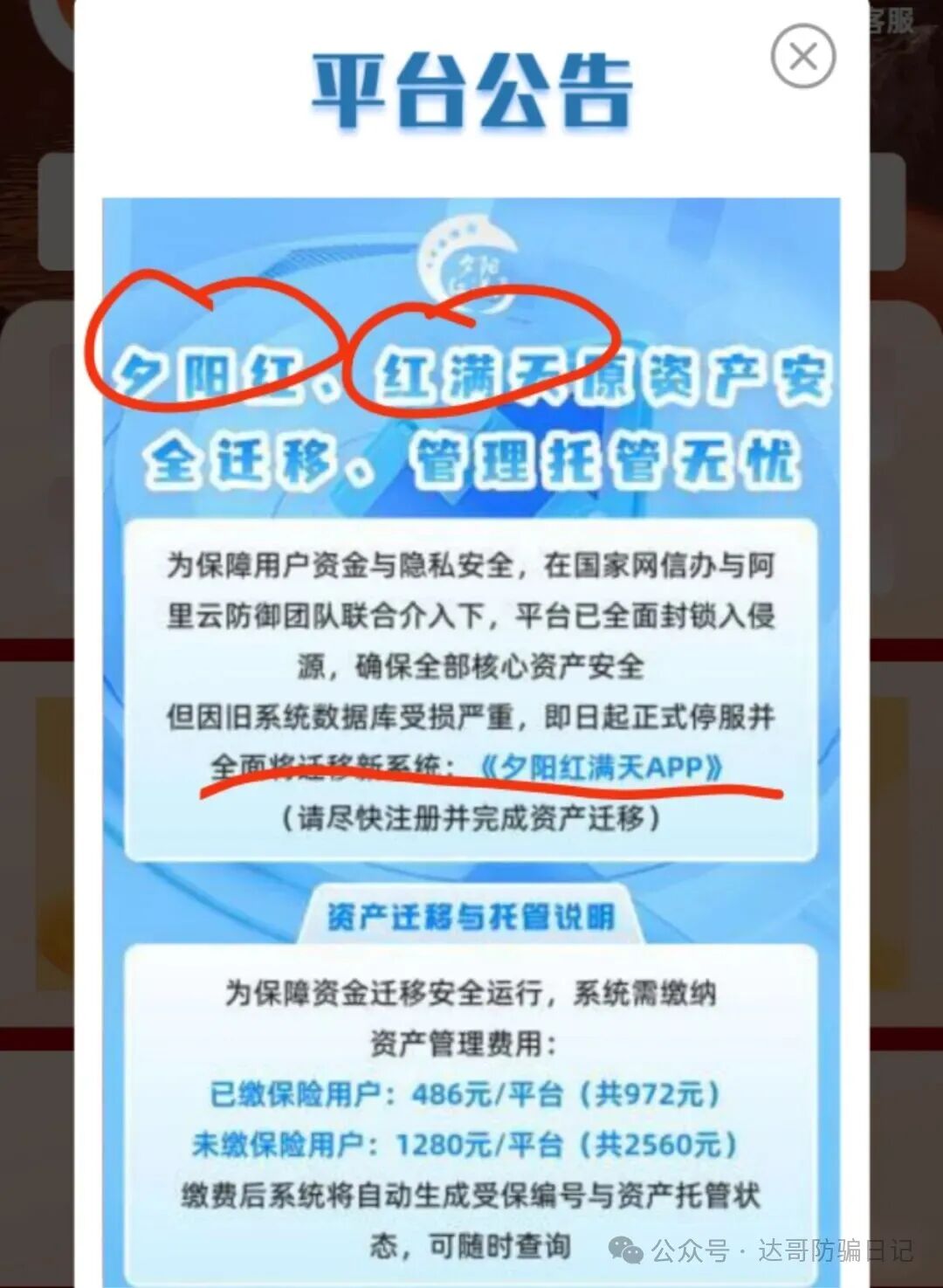崩盘提醒:【夕阳红满天】资金盘即将收网，操盘手的狂欢，韭菜们的噩梦，及