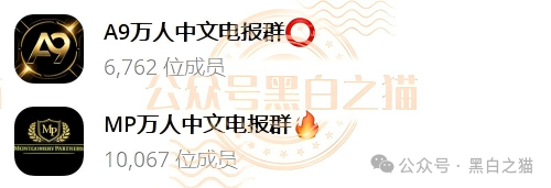 “MP蒙哥马利”人马转移“A9”项目，换成链上赌盘，投资人逃不过被割结局.